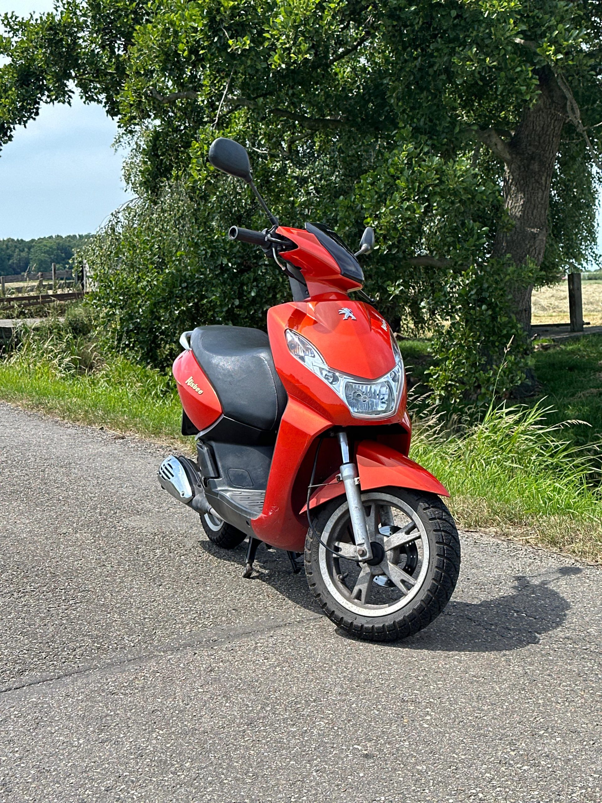 Peugeot Kisbee - Brom Variant
